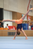 Thumbnail - Participants - Gymnastique Artistique - 2024 - NBL Nord in Cottbus 02068_02613.jpg