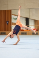 Thumbnail - Participants - Gymnastique Artistique - 2024 - NBL Nord in Cottbus 02068_02632.jpg