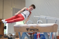 Thumbnail - Harvey Halter - Artistic Gymnastics - 2024 - NBL Nord in Cottbus - Participants - Turnteam Berlin-Halle 02068_02748.jpg