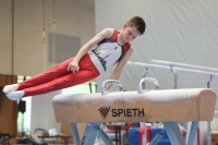 Thumbnail - Harvey Halter - Artistic Gymnastics - 2024 - NBL Nord in Cottbus - Participants - Turnteam Berlin-Halle 02068_02750.jpg