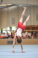 Thumbnail - Participants - Gymnastique Artistique - 2024 - NBL Nord in Cottbus 02068_02965.jpg