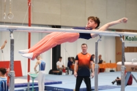 Thumbnail - Participants - Gymnastique Artistique - 2024 - NBL Nord in Cottbus 02068_02986.jpg
