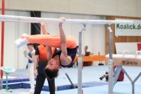 Thumbnail - Mika Hallmann - Artistic Gymnastics - 2024 - NBL Nord in Cottbus - Participants - Turn Team Nord 02068_03078.jpg