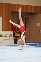 Thumbnail - Participants - Ginnastica Artistica - 2024 - NBL Nord in Cottbus 02068_03102.jpg