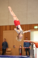 Thumbnail - Moritz Becker - Спортивная гимнастика - 2024 - NBL Nord in Cottbus - Participants - Siegerländer KV 02068_03107.jpg