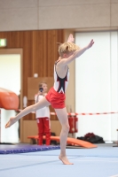 Thumbnail - Moritz Becker - Спортивная гимнастика - 2024 - NBL Nord in Cottbus - Participants - Siegerländer KV 02068_03108.jpg