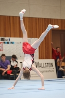 Thumbnail - Participants - Gymnastique Artistique - 2024 - NBL Nord in Cottbus 02068_03167.jpg