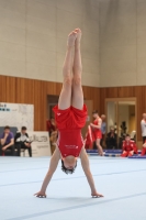 Thumbnail - Participants - Gymnastique Artistique - 2024 - NBL Nord in Cottbus 02068_03250.jpg