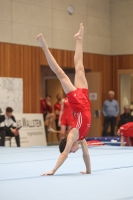Thumbnail - Participants - Gymnastique Artistique - 2024 - NBL Nord in Cottbus 02068_03273.jpg