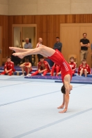 Thumbnail - Participants - Gymnastique Artistique - 2024 - NBL Nord in Cottbus 02068_03317.jpg