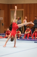 Thumbnail - Participants - Gymnastique Artistique - 2024 - NBL Nord in Cottbus 02068_03324.jpg