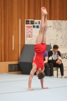 Thumbnail - Participants - Gymnastique Artistique - 2024 - NBL Nord in Cottbus 02068_03336.jpg