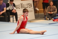 Thumbnail - Participants - Gymnastique Artistique - 2024 - NBL Nord in Cottbus 02068_03337.jpg