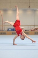 Thumbnail - Participants - Gymnastique Artistique - 2024 - NBL Nord in Cottbus 02068_03424.jpg