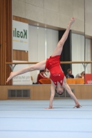 Thumbnail - Artem Yarovyi - Ginnastica Artistica - 2024 - NBL Nord in Cottbus - Participants - SC Cottbus 02068_03430.jpg