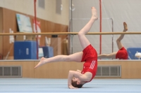 Thumbnail - Artem Yarovyi - Ginnastica Artistica - 2024 - NBL Nord in Cottbus - Participants - SC Cottbus 02068_03433.jpg