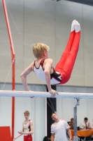 Thumbnail - Moritz Becker - Спортивная гимнастика - 2024 - NBL Nord in Cottbus - Participants - Siegerländer KV 02068_03491.jpg
