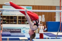 Thumbnail - Participants - Gymnastique Artistique - 2024 - NBL Nord in Cottbus 02068_03496.jpg