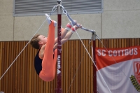 Thumbnail - Turn Team Nord - Gymnastique Artistique - 2024 - NBL Nord in Cottbus - Participants 02068_03523.jpg