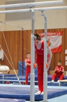 Thumbnail - Artem Yarovyi - Спортивная гимнастика - 2024 - NBL Nord in Cottbus - Participants - SC Cottbus 02068_03586.jpg