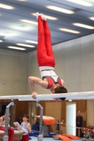 Thumbnail - Participants - Gymnastique Artistique - 2024 - NBL Nord in Cottbus 02068_03984.jpg