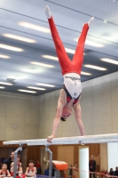 Thumbnail - Harvey Halter - Artistic Gymnastics - 2024 - NBL Nord in Cottbus - Participants - Turnteam Berlin-Halle 02068_04035.jpg