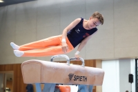 Thumbnail - Bastian Bradtmöller - Спортивная гимнастика - 2024 - NBL Nord in Cottbus - Participants - Turn Team Nord 02068_04160.jpg