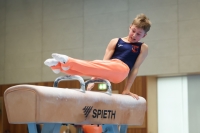 Thumbnail - Jonas Kirsch - Спортивная гимнастика - 2024 - NBL Nord in Cottbus - Participants - Turn Team Nord 02068_04272.jpg