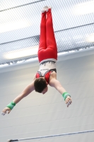 Thumbnail - Lennox Altenberger - Gymnastique Artistique - 2024 - NBL Nord in Cottbus - Participants - Turnteam Berlin-Halle 02068_04383.jpg