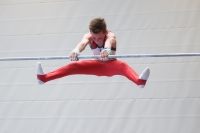 Thumbnail - Harvey Halter - Artistic Gymnastics - 2024 - NBL Nord in Cottbus - Participants - Turnteam Berlin-Halle 02068_04411.jpg