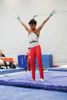 Thumbnail - Josef Jaffer - Gymnastique Artistique - 2024 - NBL Nord in Cottbus - Participants - Turnteam Berlin-Halle 02068_04459.jpg