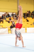 Thumbnail - Cooper Fuckner - Ginnastica Artistica - 2024 - Metropolcup Heidelberg - Teilnehmer - AK 11 und 12 02069_02984.jpg