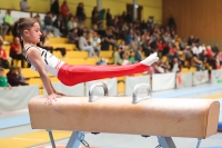 Thumbnail - Cooper Fuckner - Ginnastica Artistica - 2024 - Metropolcup Heidelberg - Teilnehmer - AK 11 und 12 02069_03341.jpg