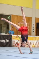 Thumbnail - German Chebotarev - Gymnastique Artistique - 2024 - Metropolcup Heidelberg - Teilnehmer - AK 15 und älter 02069_08646.jpg