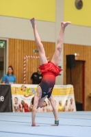 Thumbnail - AK 15 und älter - Artistic Gymnastics - 2024 - Metropolcup Heidelberg - Teilnehmer 02069_08647.jpg