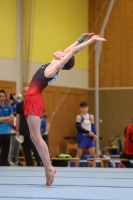 Thumbnail - AK 15 und älter - Artistic Gymnastics - 2024 - Metropolcup Heidelberg - Teilnehmer 02069_08649.jpg