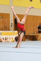 Thumbnail - AK 15 und älter - Gymnastique Artistique - 2024 - Metropolcup Heidelberg - Teilnehmer 02069_08658.jpg