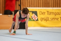Thumbnail - German Chebotarev - Спортивная гимнастика - 2024 - Metropolcup Heidelberg - Teilnehmer - AK 15 und älter 02069_08661.jpg