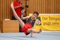 Thumbnail - German Chebotarev - Gymnastique Artistique - 2024 - Metropolcup Heidelberg - Teilnehmer - AK 15 und älter 02069_08665.jpg