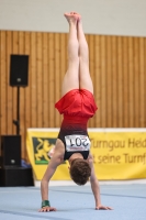 Thumbnail - German Chebotarev - Ginnastica Artistica - 2024 - Metropolcup Heidelberg - Teilnehmer - AK 15 und älter 02069_08668.jpg