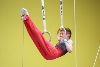 Thumbnail - German Chebotarev - Artistic Gymnastics - 2024 - Metropolcup Heidelberg - Teilnehmer - AK 15 und älter 02069_08711.jpg