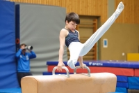 Thumbnail - AK 15 und älter - Gymnastique Artistique - 2024 - Metropolcup Heidelberg - Teilnehmer 02069_08771.jpg