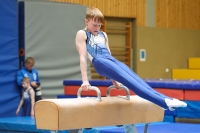 Thumbnail - AK 15 und älter - Gymnastique Artistique - 2024 - Metropolcup Heidelberg - Teilnehmer 02069_08791.jpg