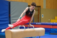 Thumbnail - German Chebotarev - Artistic Gymnastics - 2024 - Metropolcup Heidelberg - Teilnehmer - AK 15 und älter 02069_08842.jpg