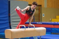 Thumbnail - German Chebotarev - Gymnastique Artistique - 2024 - Metropolcup Heidelberg - Teilnehmer - AK 15 und älter 02069_08847.jpg