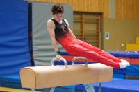 Thumbnail - German Chebotarev - Artistic Gymnastics - 2024 - Metropolcup Heidelberg - Teilnehmer - AK 15 und älter 02069_08851.jpg