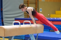 Thumbnail - German Chebotarev - Artistic Gymnastics - 2024 - Metropolcup Heidelberg - Teilnehmer - AK 15 und älter 02069_08857.jpg
