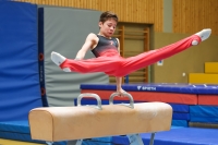Thumbnail - German Chebotarev - Gymnastique Artistique - 2024 - Metropolcup Heidelberg - Teilnehmer - AK 15 und älter 02069_08873.jpg