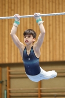 Thumbnail - Zeno Csuka - Спортивная гимнастика - 2024 - Metropolcup Heidelberg - Teilnehmer - AK 15 und älter 02069_09009.jpg