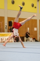 Thumbnail - Gabor Sutterlüty - Artistic Gymnastics - 2024 - Metropolcup Heidelberg - Teilnehmer - AK 15 und älter 02069_09191.jpg